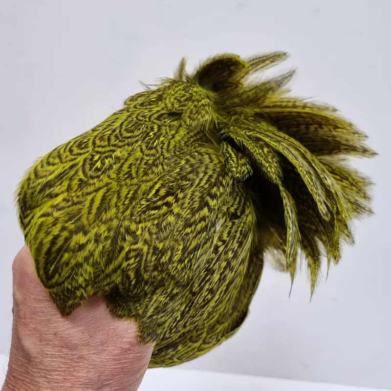 Whiting Coq de Leon Hen Cape in Speckled Fl.Yellow Chartreuse-10